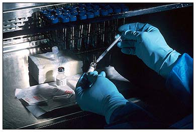 Lead Developer for HPV Vaccine Admits it is Useless and Dangerous